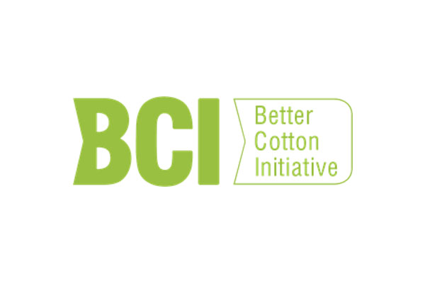 11. BCI