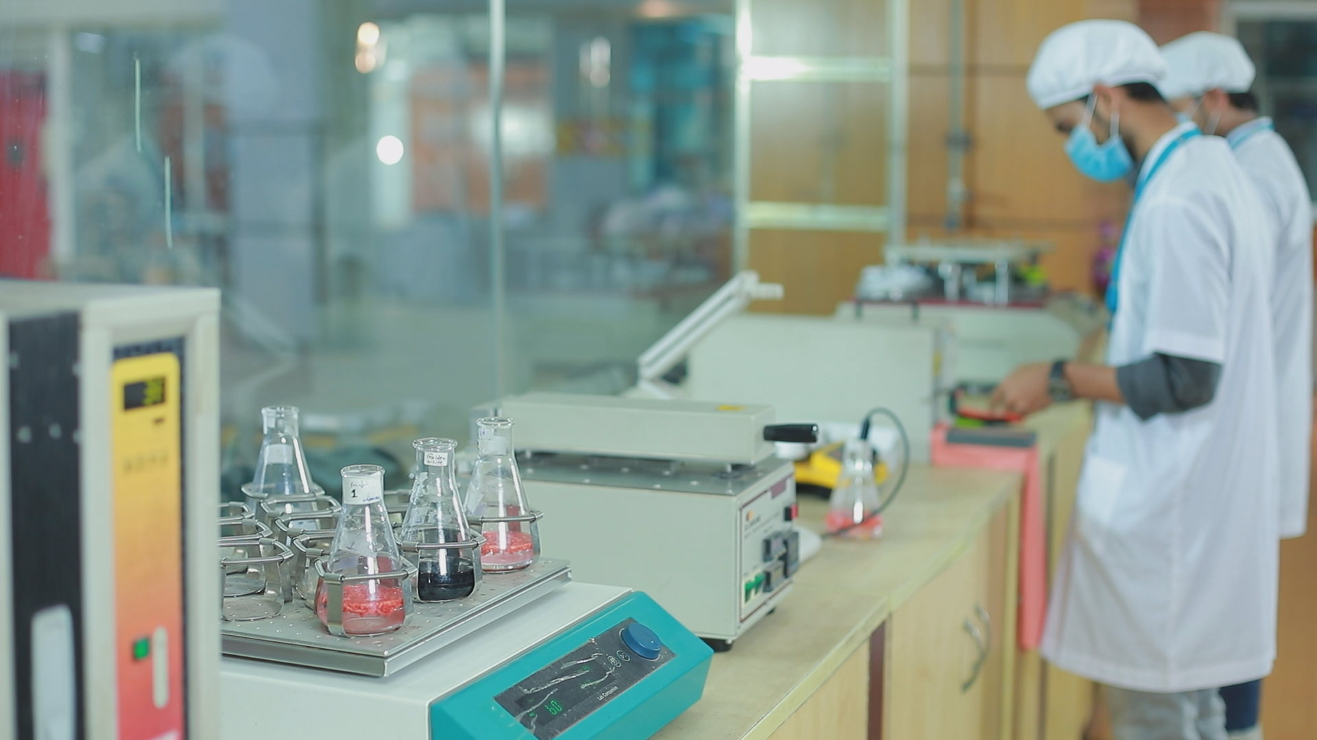 lab
